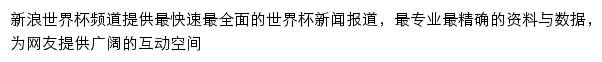 新浪2006德国世界杯网站详情