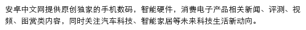 电玩巴士安卓中文网网站详情