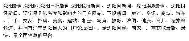 沈阳网汽车频道网站详情