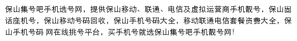 保山集号吧网站详情