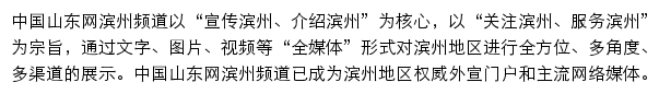 中国山东网滨州频道网站详情