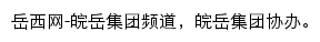 岳西网皖岳集团频道网站详情