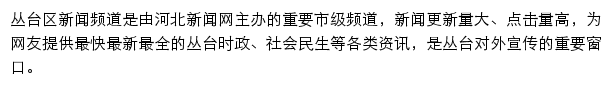 丛台区新闻网网站详情