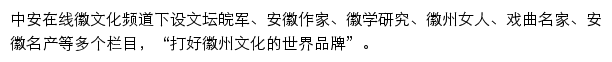 中安在线徽文化频道网站详情