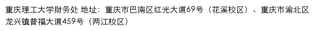 重庆理工大学财务处网站详情