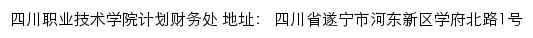 四川职业技术学院计划财务处网站详情