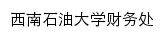 西南石油大学学生学杂费缴费平台网站详情