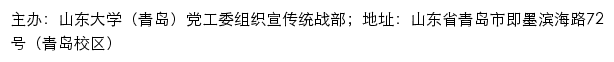 山东大学（青岛）党工委组织宣传统战部（仅限内网访问）网站详情