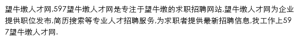 597直聘望牛墩人才网网站详情