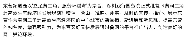 鲁网东营频道网站详情