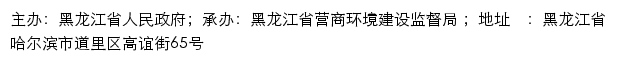 大庆市高新区政务服务网网站详情