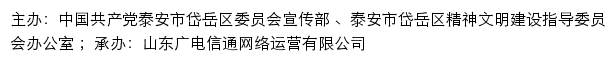 岱岳区新时代文明实践中心网站详情