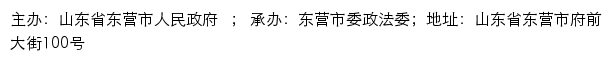 东营长安网（中共东营市市委政法委员会）网站详情