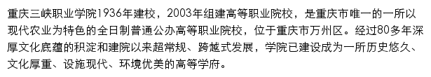 重庆三峡职业学院网上办事服务大厅网站详情