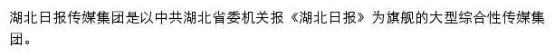 湖北日报网站详情