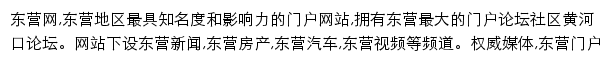 东营网房产频道网站详情