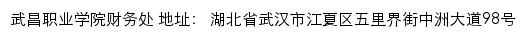 武昌职业学院财务处网站详情