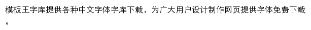 模板王字库网站详情