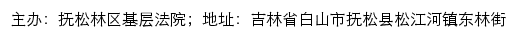 抚松林区基层法院司法公开网网站详情