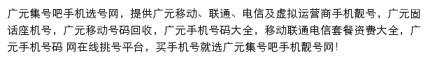 广元集号吧网站详情