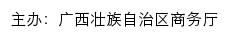 中国（广西）国际贸易单一窗口网站详情