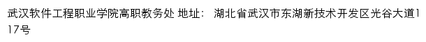 武汉软件工程职业学院高职教务处网站详情