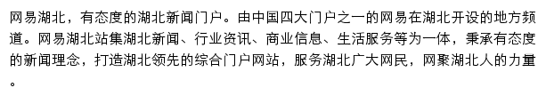 网易湖北网站详情