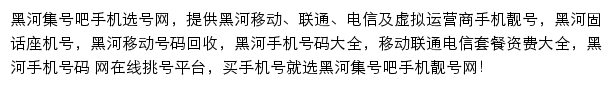 黑河集号吧网站详情