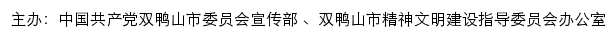 双鸭山文明网（双鸭山市精神文明建设指导委员会办公室）网站详情