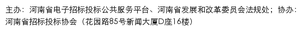 河南省电子招标投标公共服务平台网站详情