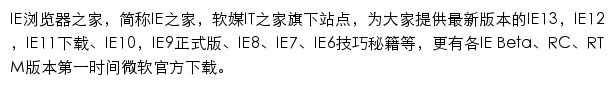 IE之家网站详情