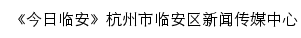 今日临安数字报网站详情