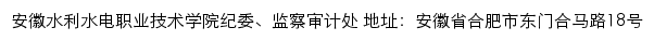 安徽水利水电职业技术学院纪委、监察审计处网站详情