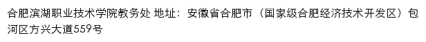 合肥滨湖职业技术学院教务处网站详情