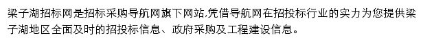 梁子湖招标采购导航网网站详情