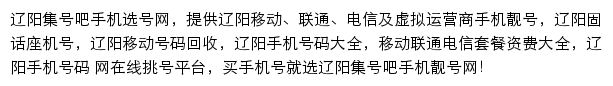 辽阳集号吧网站详情