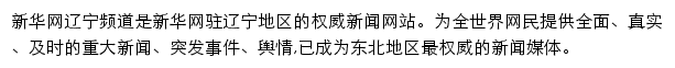 新华网辽宁频道网站详情