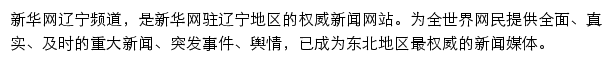 新华网辽宁频道网站详情