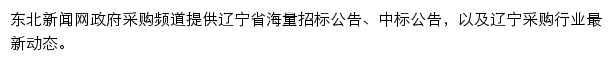 东北新闻网政府采购频道网站详情