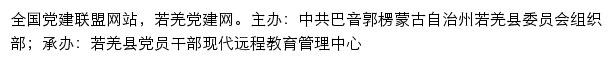 若羌党建网（中共巴音郭楞蒙古自治州若羌县委员会组织部）网站详情