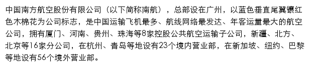 中国南方航空手机版网站详情