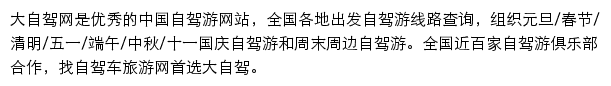 大自驾手机版网站详情