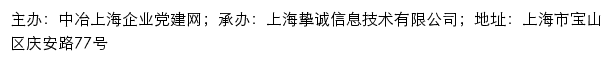 中冶上海企业党建网网站详情