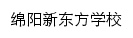 绵阳新东方学校网站详情