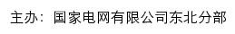 国家电网有限公司东北分部网站详情