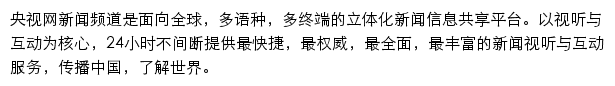 央视网新闻频道网站详情