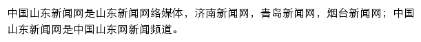 中国山东新闻网网站详情