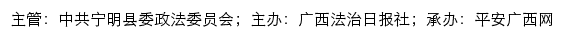 平安宁明网（中共宁明县委政法委员会）网站详情