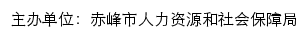 赤峰市专业技术人员在线培训网站详情