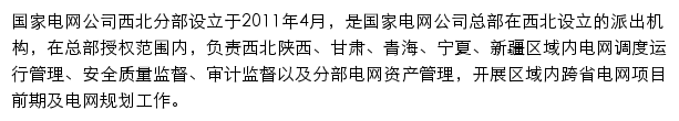 国家电网有限公司西北分部网站详情